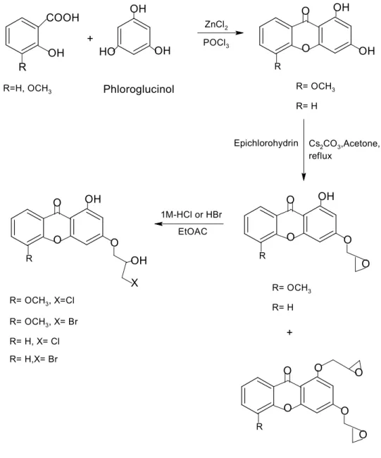 Figure 2.19: Synthesis pathways for epoxyxanthone derivatives [Woo et al.,                       2006] 