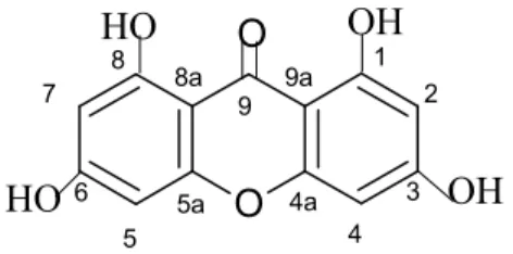 Figure 4.2: The structure of 1, 3, 6, 8-tetrahydroxyxanthone 