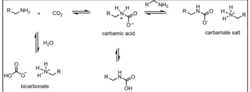 Figure 2. Amines forming stable carbamates or bicarbonates with CO 2  [9] 