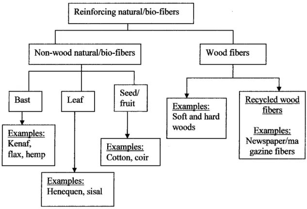Figure 2-1 Classification of natural fibers derived from plants [12],