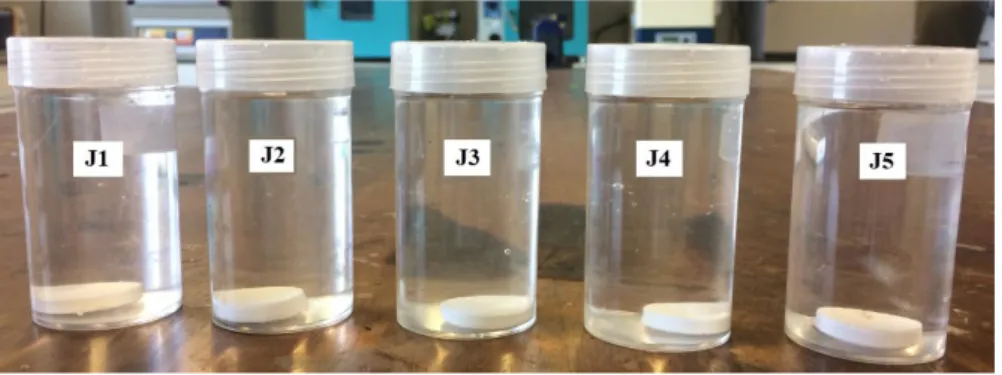 Figure 3.7: Coating samples are immersed in distilled water 