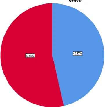 Figure 5: Pie Chart of Gender Distribution 