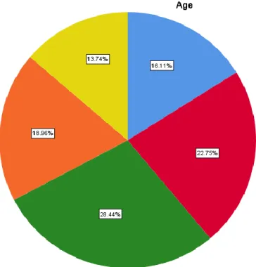 Figure 6: Pie Chart of Age Distribution 
