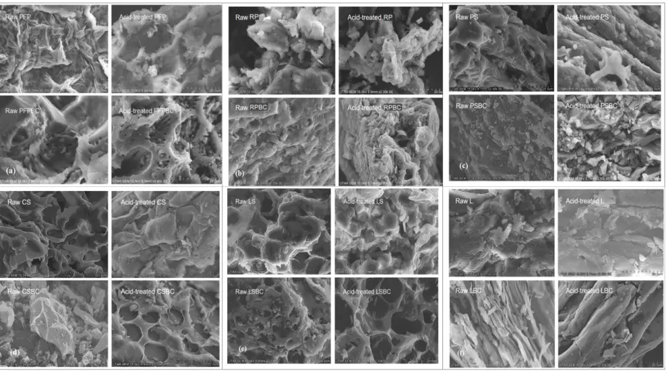 Figure 4.2: SEM Images of All Derivatives of Biosorbents (BC = Biochar): (a) PFP, (b) RP, (c) PS, (d) CS, (e) LS, (f) L 