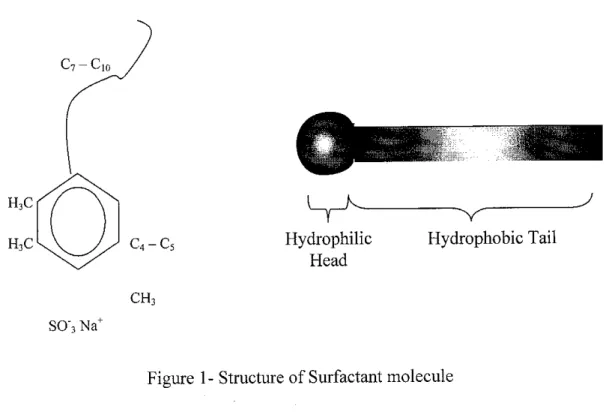 Figure 1- Structure of Surfactant molecule
