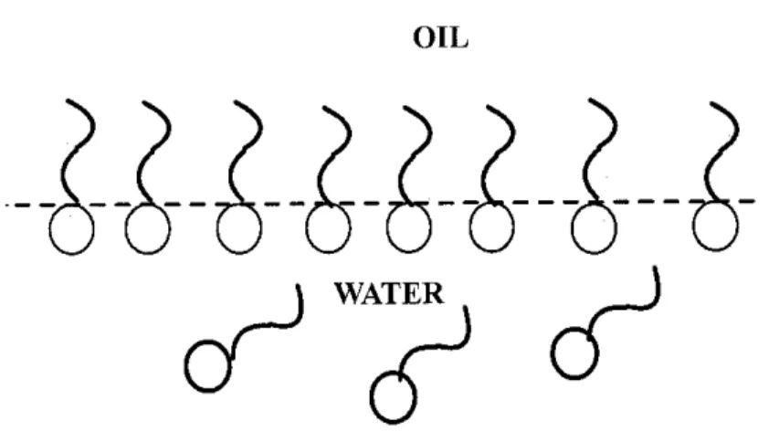 Figure 2 - Surfactant in oil-water system