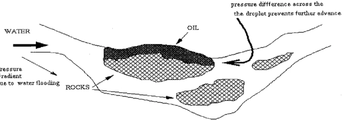 Figure 3 - Oil Drop Stuck in a Capillary (Before Adding Surfactant)