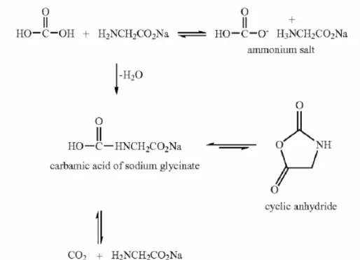 Figure 2.4 Reaction scheme for carbon dioxide absorption into sodium glycinate  [106] 