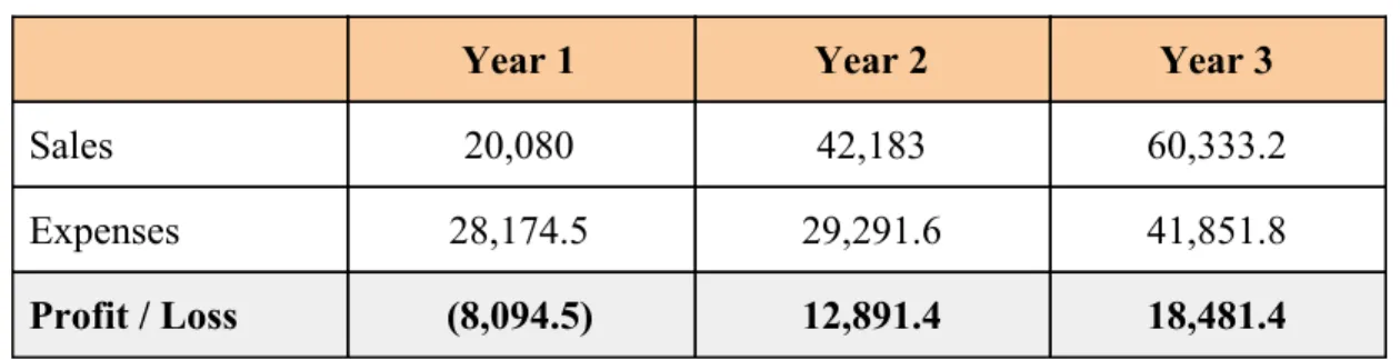 Table 3.1.4: Pro Forma Monthly Income Statement 