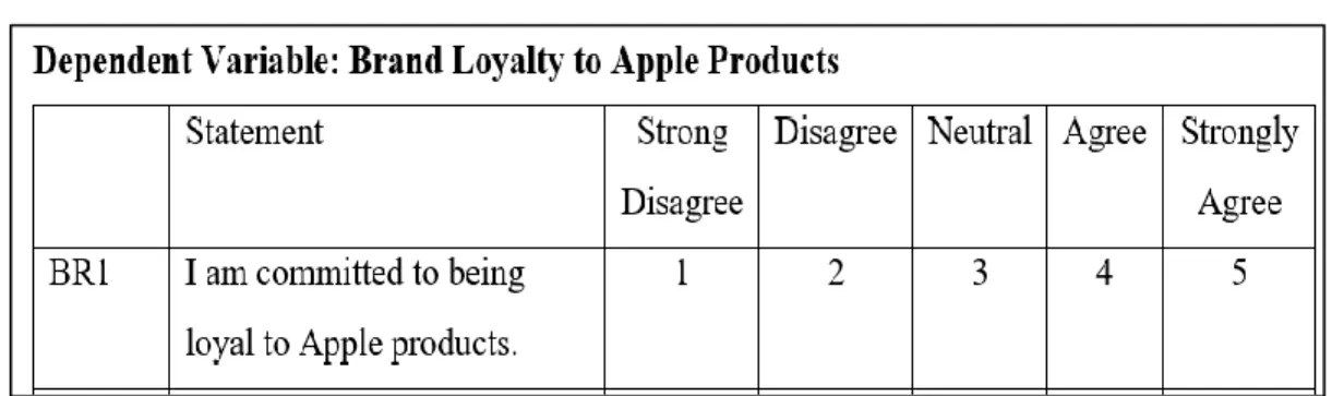Figure 3.2: Example of Likert Scale 