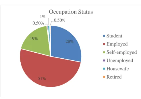 Figure 4.3: Occupation Status 