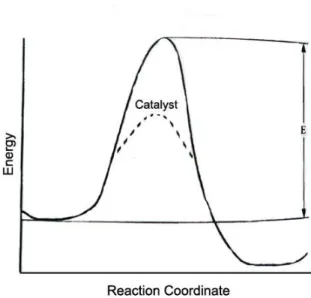 Figure 1.1: Presence of Catalyst in The Activation Energy Profile 