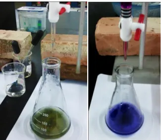 Figure 3.7 : Niwa and Murakami redox titration method apparatus setup. 