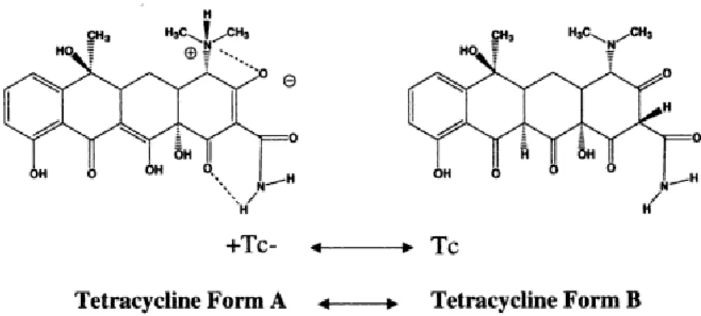 Figure  2.2:  Two  bioactive  forms  of  tetracycline,  the  A  zwitterions  form  and the B unionized form (Adapted from Nelson et al., 2001)