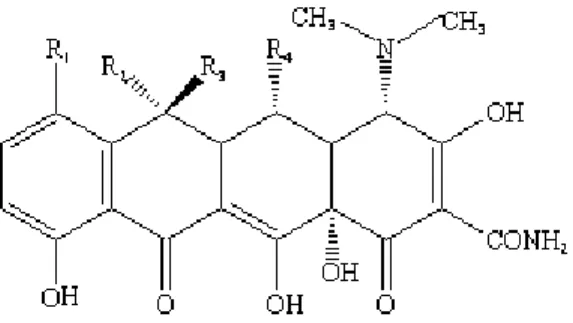 Figure 2.1: The tetracycline core structure (Adapted from Todar, 2011). 