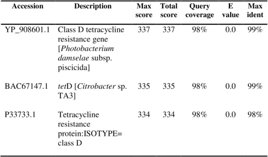 Figure  4.6:  Comparison  between  the  sequence  of  the  putative  tetD  purified  PCR  product  and  the  sequence  of  the  Class  D  tetracycline  resistance gene of Photobacterium damselae subspecies piscicida available  in GenBank (Accession Number 
