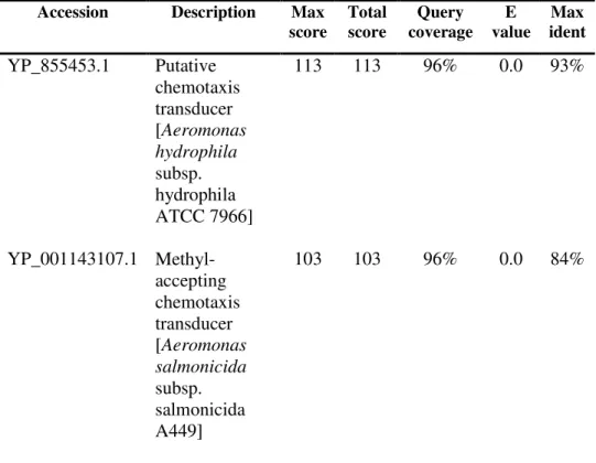 Figure  4.7:  Comparison  between  the  sequence  of  the  putative  tetE  (x)  purified  PCR  product  and  the  sequence  of  the  putative  chemotaxis  transducer  of  Aeromonas  hydrophila  subspecies  hydrophila  ATCC  7966  available in GenBank (Acce