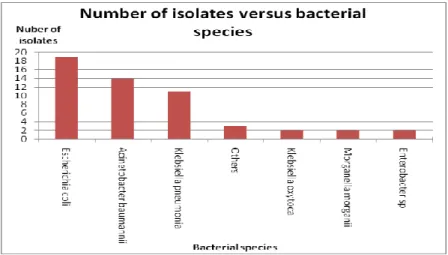 Figure  5.1:  Distribution  of  the  53  tetracycline-resistant  gram-negative  clinical isolates selected for this study according to bacterial species