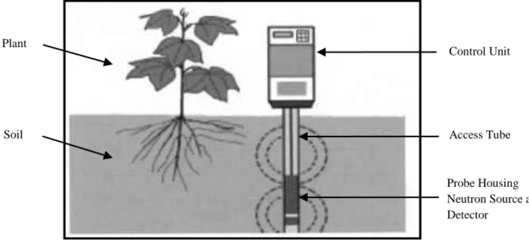 Figure 4: Diagram of a neutron moisture gauge (neutron probe) Soil 