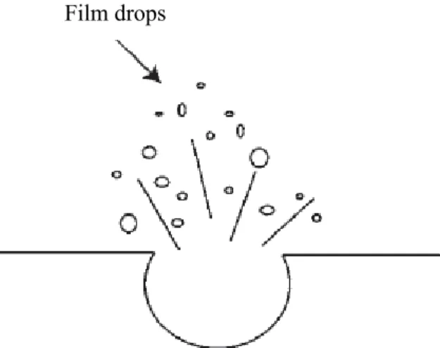 Figure 2.1 Film rupture of a bubble at free surface[1]