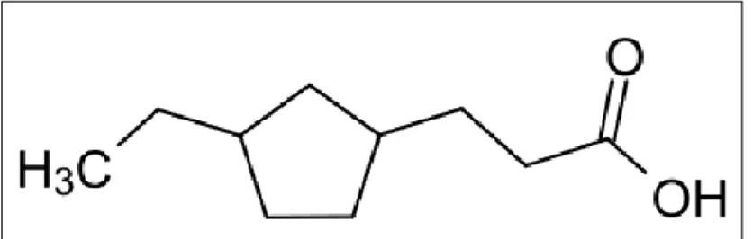 FIGURE 1.1  Example of Naphthenic Acid 
