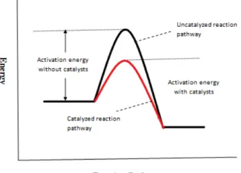 Figure 2: Potential energy diagram showing the effect of a catalyst in chemical reaction  In the very recent years, the tendency and attention received for the usage of  hydrotalcite  like  compounds  (HTLCs)  as  catalyst  is  very  high