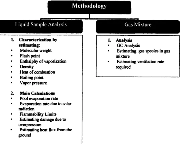 Figure  3.1:  Methodology for  liquid sample and gas mixture analysis. 