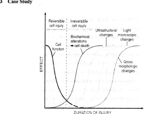 Figure 1.2 Sequential development of biochemical and morphological changes in cell injury [2]