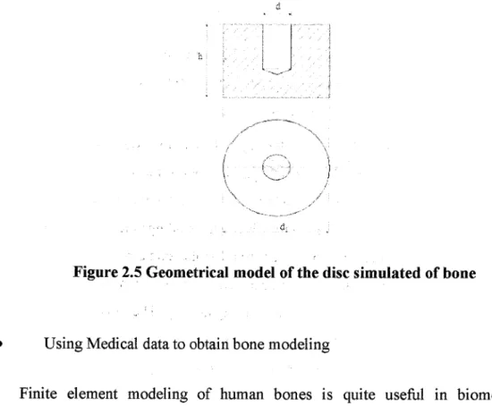 Figure 2.5 Geometrical model of the disc simulated of bone