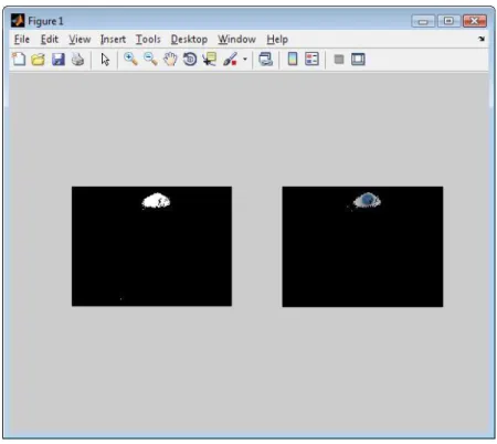 Figure 12 shows a mask of the moved areas of Figure 11. The white areas are  the areas that were computed to have changed position