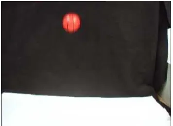 Figure 14: Original Input Image for Kalman Filtering 