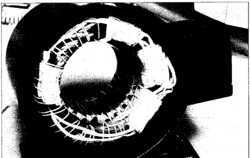 Figure 4 Stator of BLDC motor.