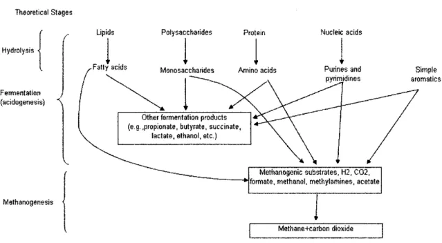 Figure  2.3:  Anaerobic  process  schematic  of  hydrolysis,  fermentation,  and  methanogenesis