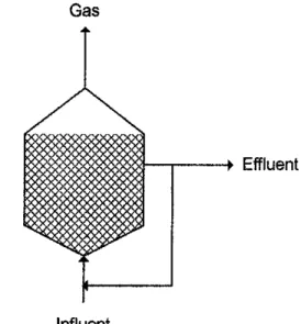 Figure 2.8: Up-flow packed bed reactor or anaerobic filter 