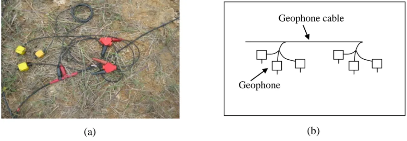 Figure 3.5: (a) Triple geophone array  (b): Schematic diagram showing triple array geophone