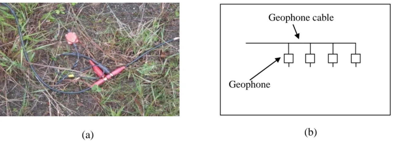 Figure 3.4 : (a) Single geophone array (b): Schematic diagram showing array of single geophone