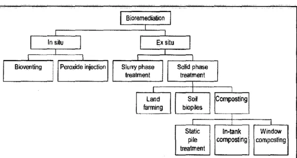 Figure 2.2: Teclmologies ofBioremediation (Ibrahim, 2008) 