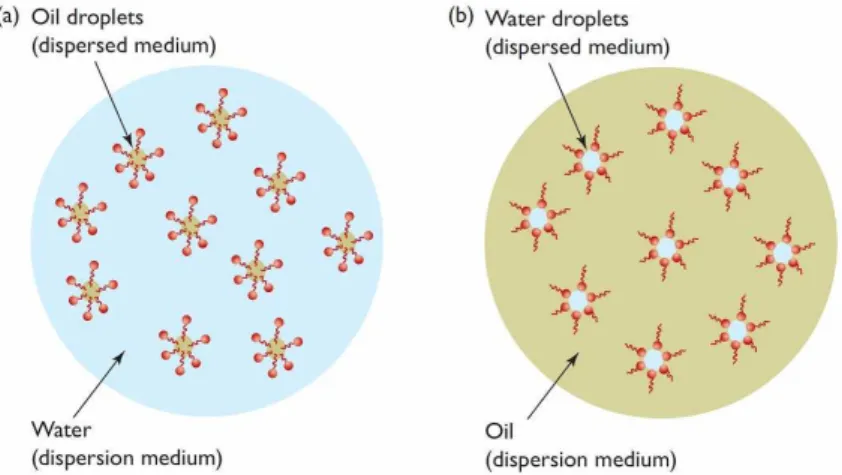 Figure 3: Concept of water and oil emulsions. 