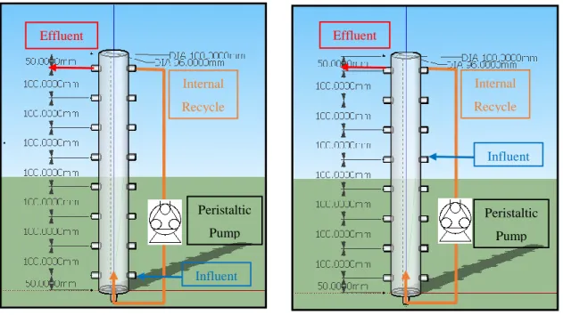 Figure 3.2a Typical Process of Reactor A  Figure 3.2b Typical Process of Reactor B  Teknologi  PETRONAS  Sewage  Treatment  Plant  (UTP’s  STP)