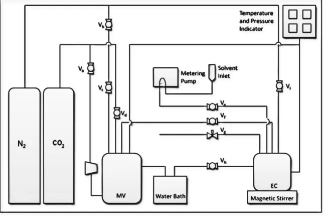 FIGURE 8  Schematic diagram for high pressure gas solubility cell  where,   