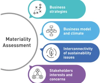 Figure 2 - Factors Affecting Materiality