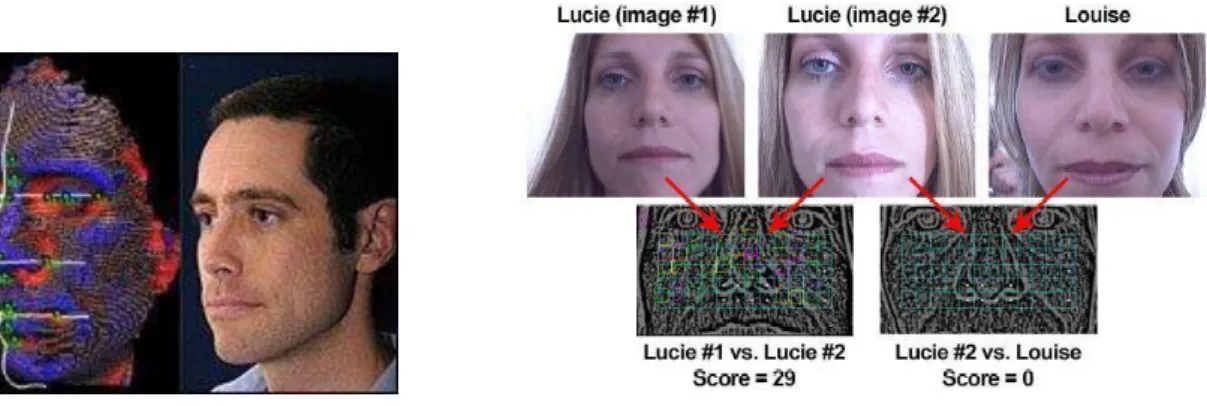 Figure 2: Facial Geometry            Figure 3: skin Patten Recognition  