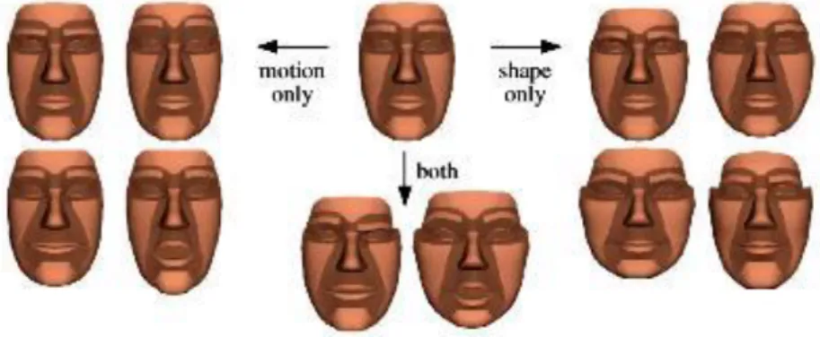 Figure 5: Face Model 