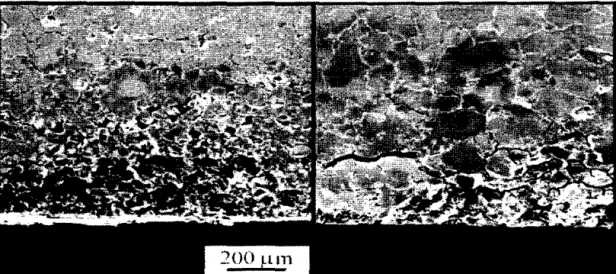 Figure 2.1 0.  Micrograph  with Grain  Dropping Due to  lntergranular Corrosion  [72]