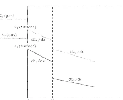 Figure 2. I 5.  Concentrations and Concentration Gradients ofNitrogen-Carbon [58]. 