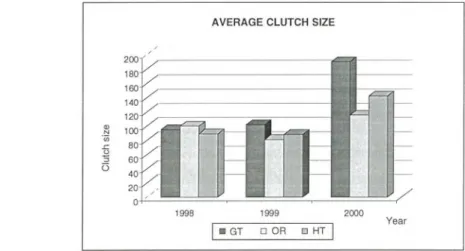Figure 4:  Average clutch size for green, olive ridley and hawksbills turtles: 1998 - 2000