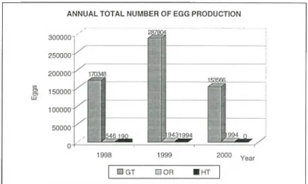 Figure 3:  Annual Total Number of egg production: 1998 - 2000