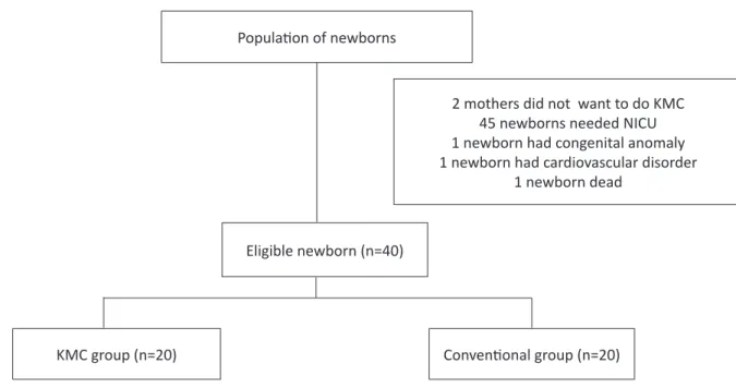 Figure 1: Flow chart  of the study