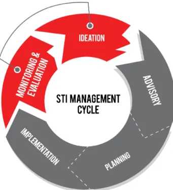 Figure 4. STI Management Cycle