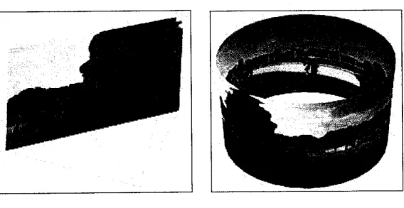 Figure 2.2: Planar or flat panorama Figure 2.3: Cylinder panorama
